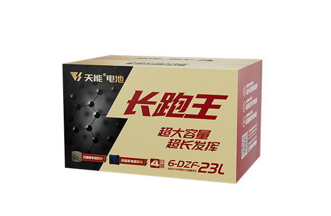 金狮贵宾会长跑王系列