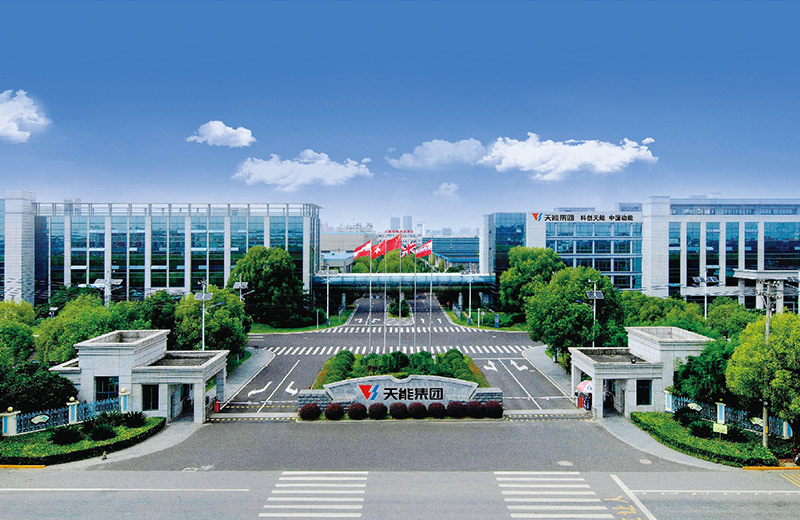 金狮贵宾会股份