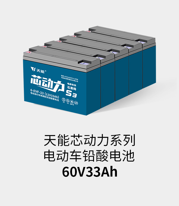 金狮贵宾会电池60v33ah