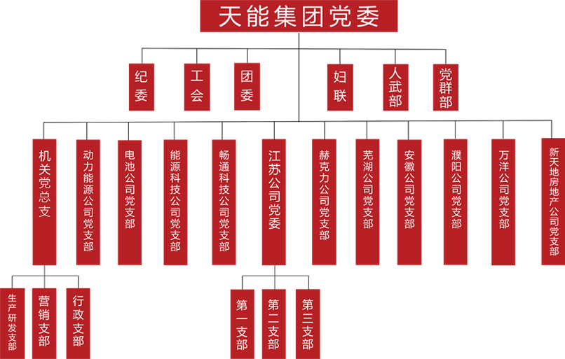 金狮贵宾会建团党委组织架构